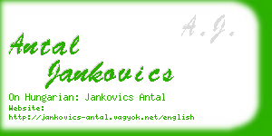 antal jankovics business card